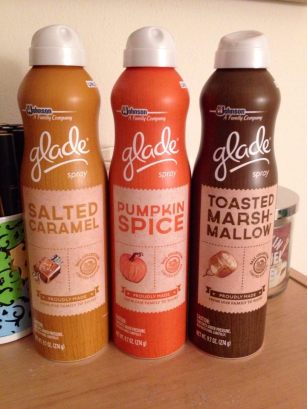 542238_2551495710210_993346852_n