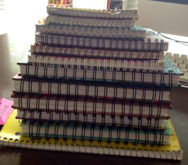 1377307_2625012388081_633339839_n