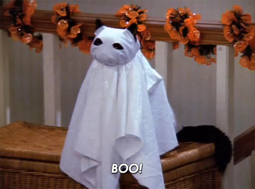 tumblr_mstrbr3gxX1rb9nwvo1_500