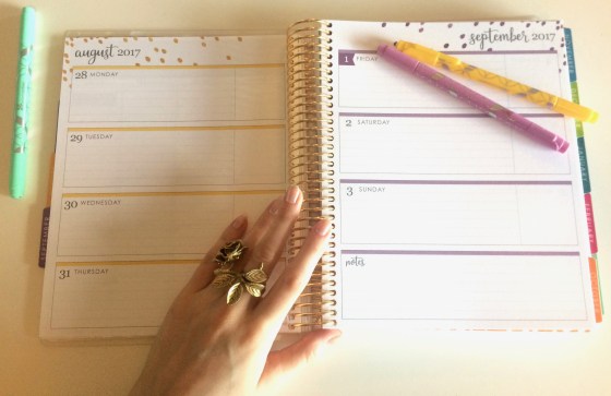 erin condren planner