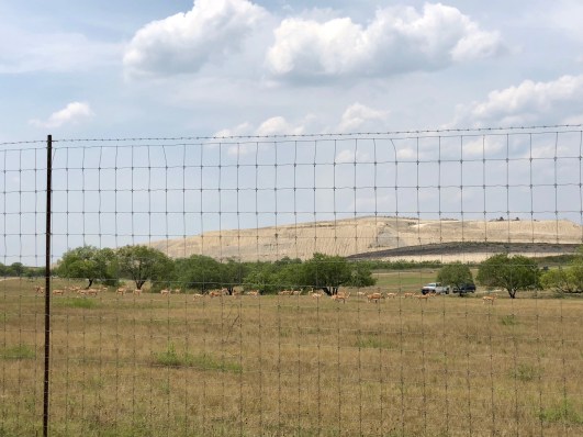 2018-07-26 12.23.56-2